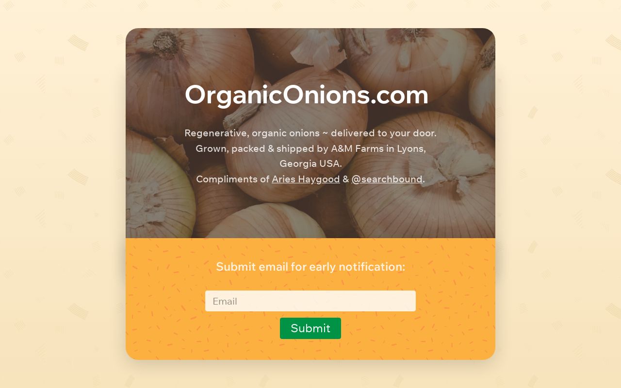 Organic Onions via A&M Farms in Lyons, GA